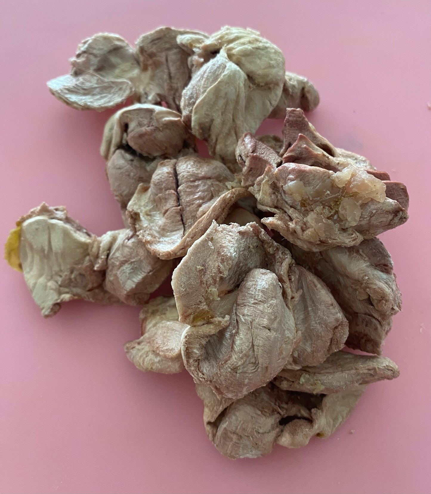 Freeze Dried Raw Chicken Gizzards