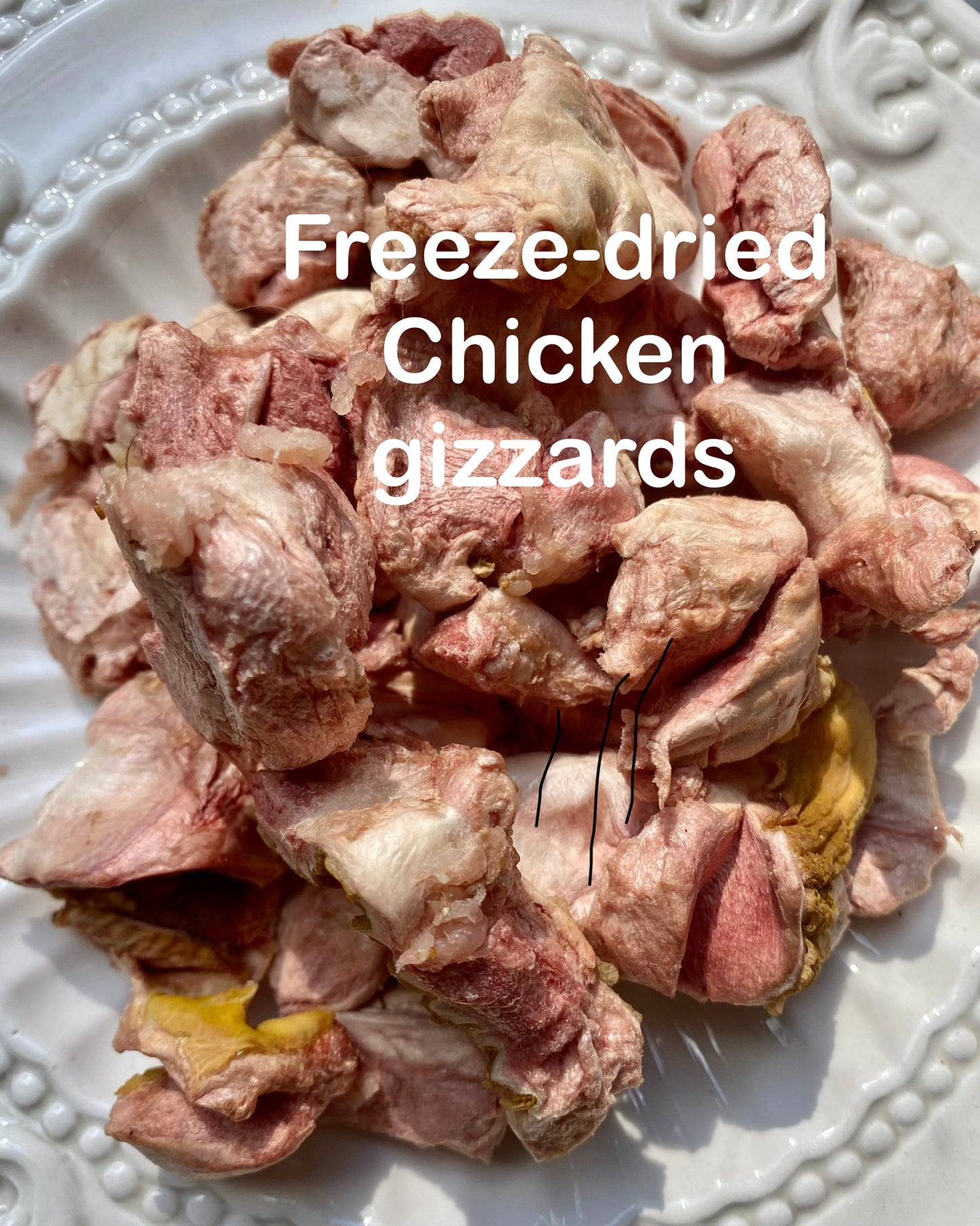 Freeze Dried Raw Chicken Gizzards