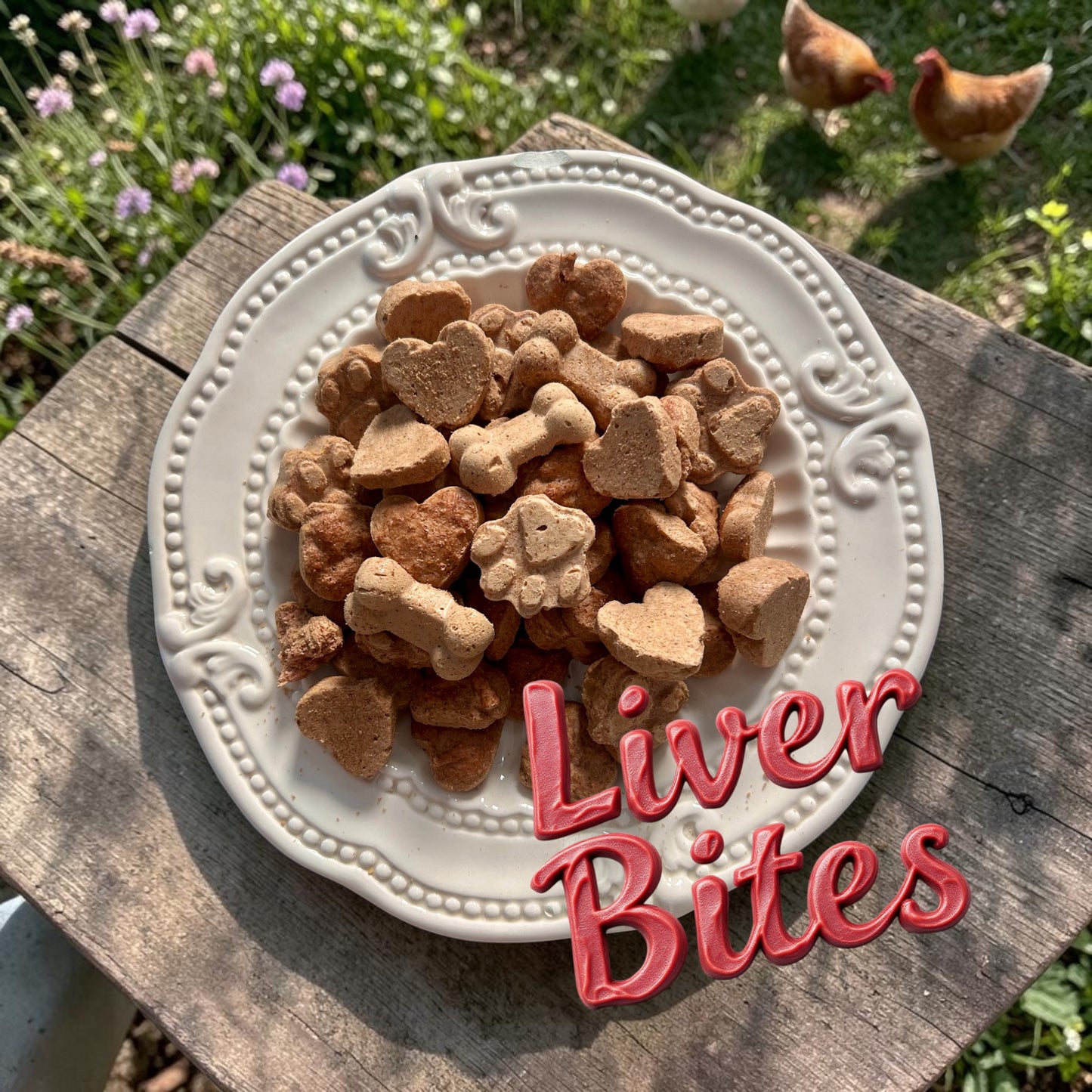 Liver & Yogurt Bites 4 oz