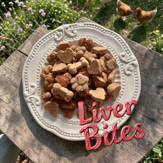 Liver & Yogurt Bites 4 oz